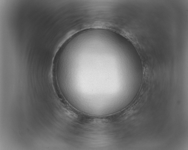 X0000072510292200607290139