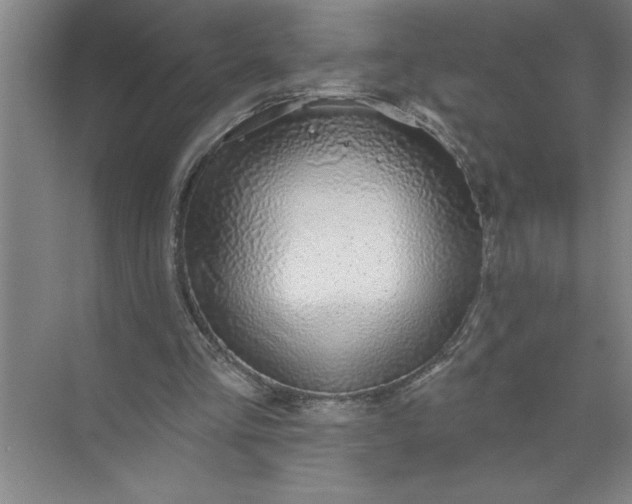 X0000072510293200607290139