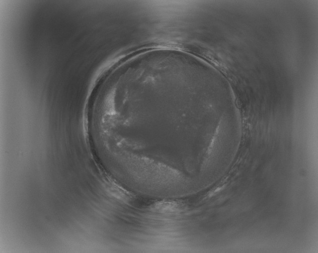 X0000072510294200607290139