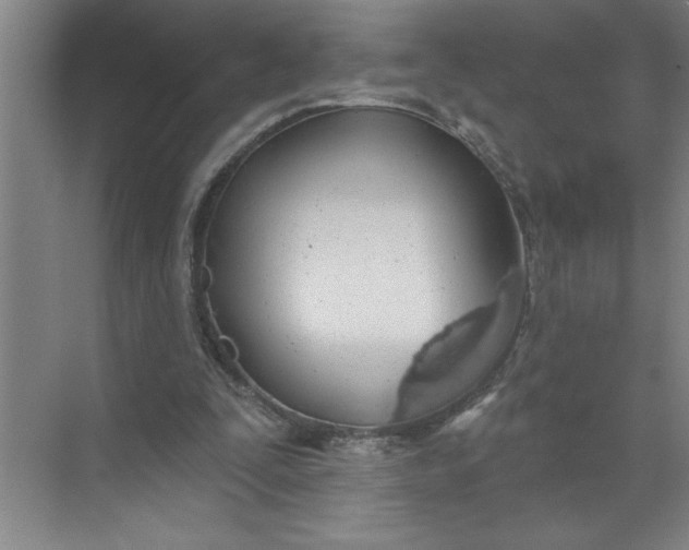 X0000072510295200607290139