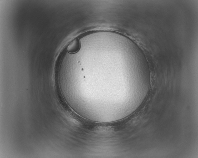 X0000072510296200607290139