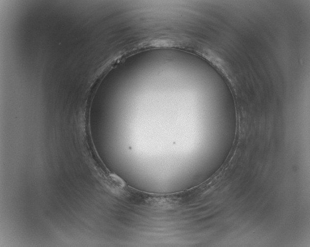 X0000072510297200607290139