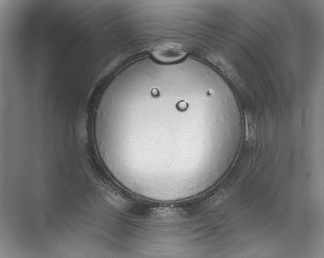 X0000072510300200607290139