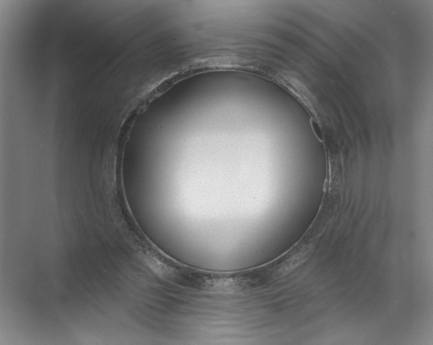 X0000072510301200607290139