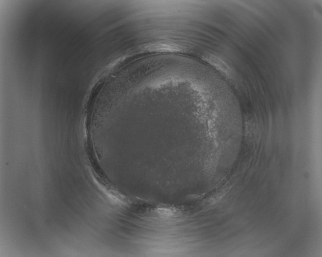 X0000072510302200607290139