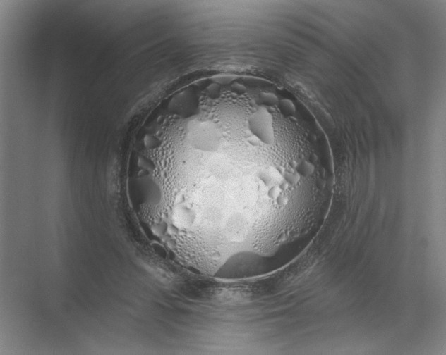 X0000072510303200607290139