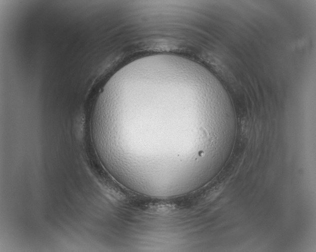 X0000072510304200607290139