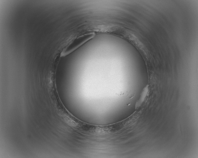 X0000072510305200607290139