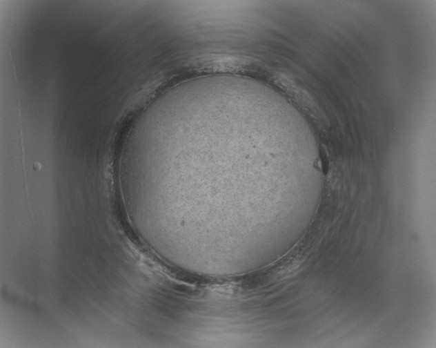 X0000072510306200607290139