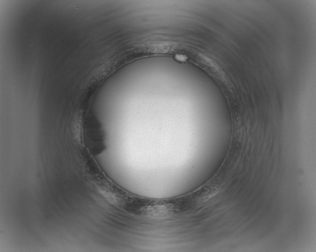 X0000072510307200607290139