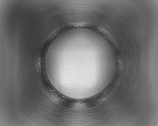 X0000072510308200607290139