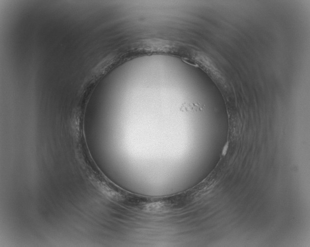 X0000072510309200607290139