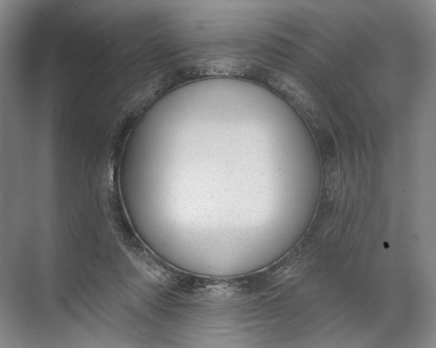 X0000072510310200607290139