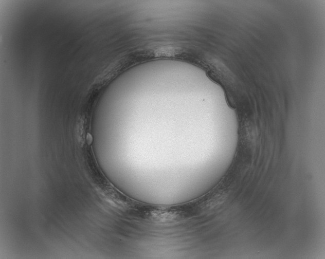 X0000072510311200607290139