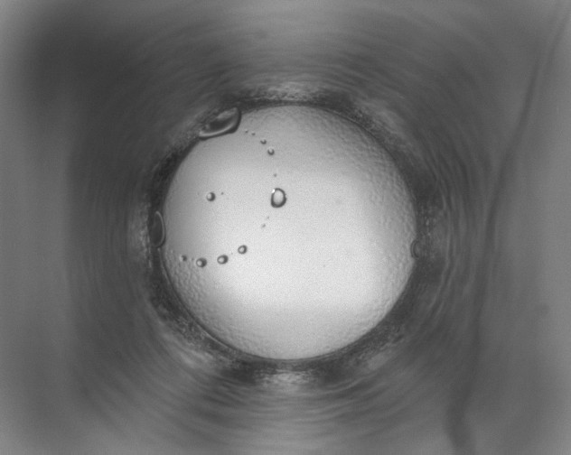 X0000072510312200607290139