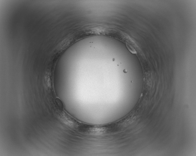 X0000072510313200607290139