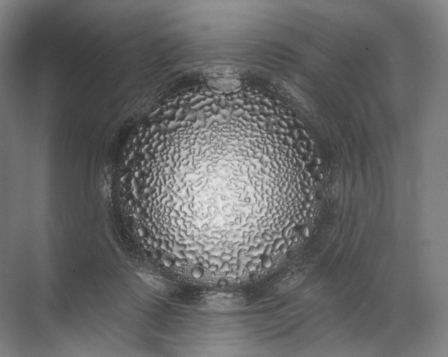 X0000072510315200607290139