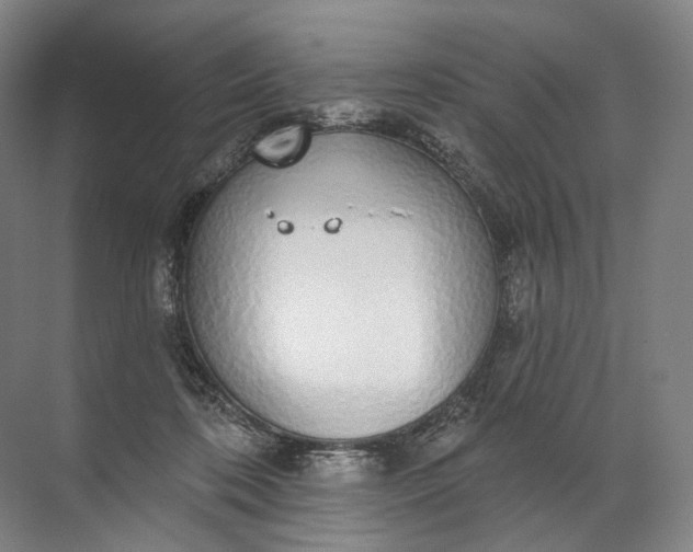 X0000072510316200607290139