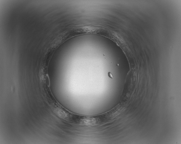 X0000072510317200607290139