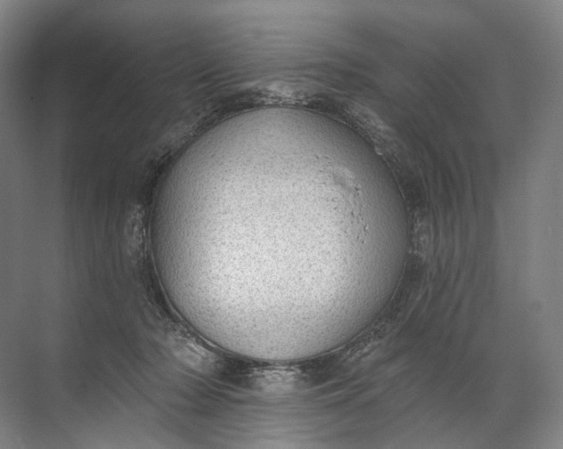 X0000072510318200607290139