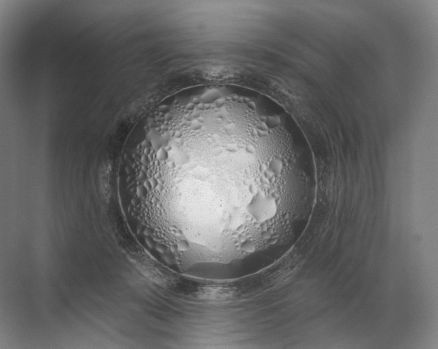 X0000072510319200607290139