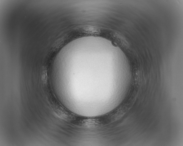 X0000072510320200607290139