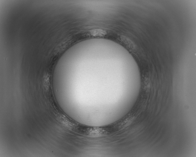 X0000072510321200607290139