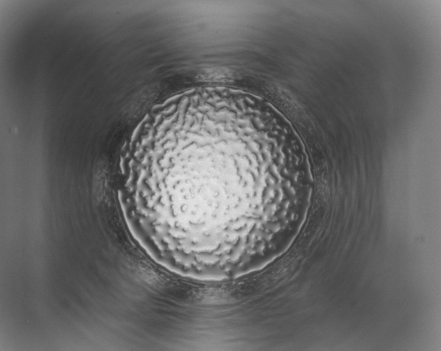 X0000072510322200607290139