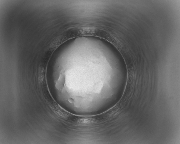 X0000072510323200607290139