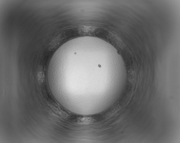 X0000072510324200607290139