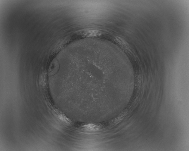 X0000072510326200607290139