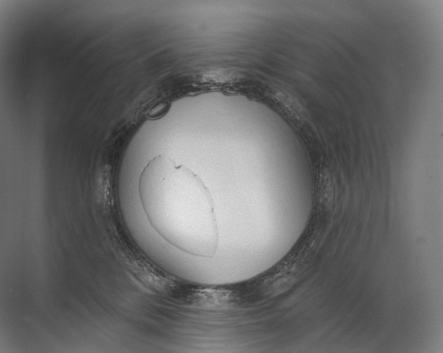 X0000072510328200607290139