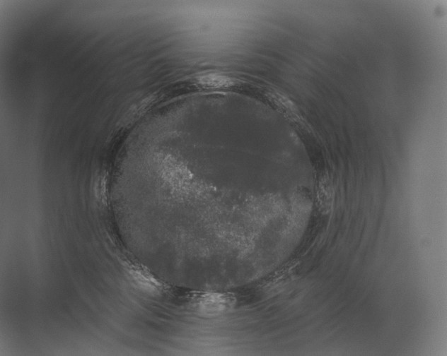 X0000072510330200607290139