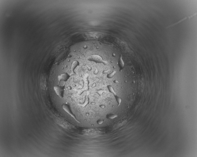 X0000072510331200607290139