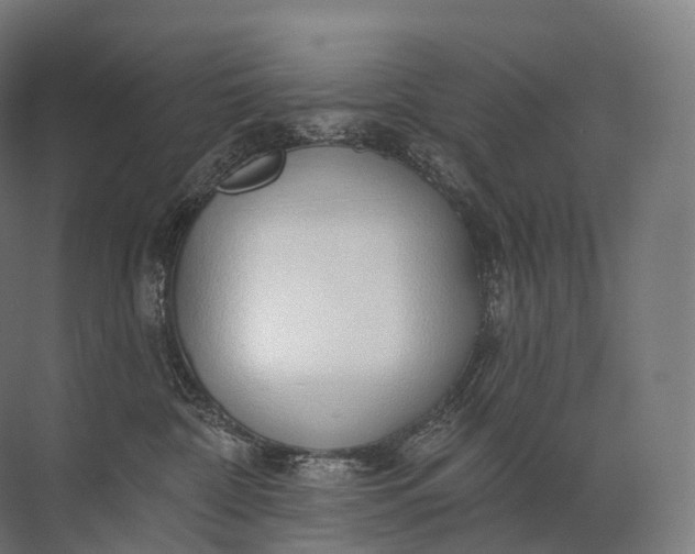 X0000072510332200607290139