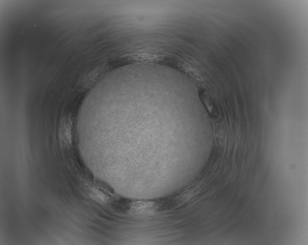 X0000072510334200607290139