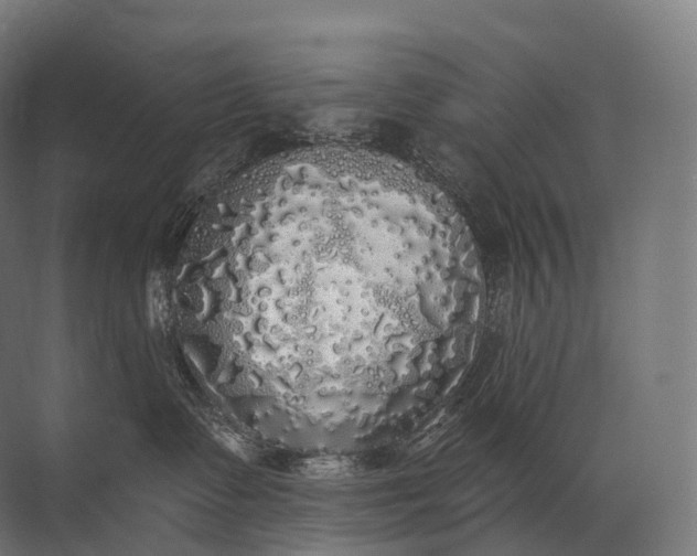 X0000072510335200607290139