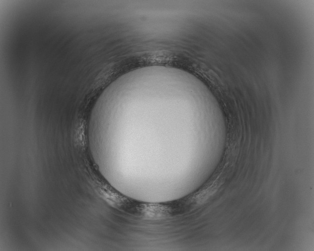 X0000072510336200607290139