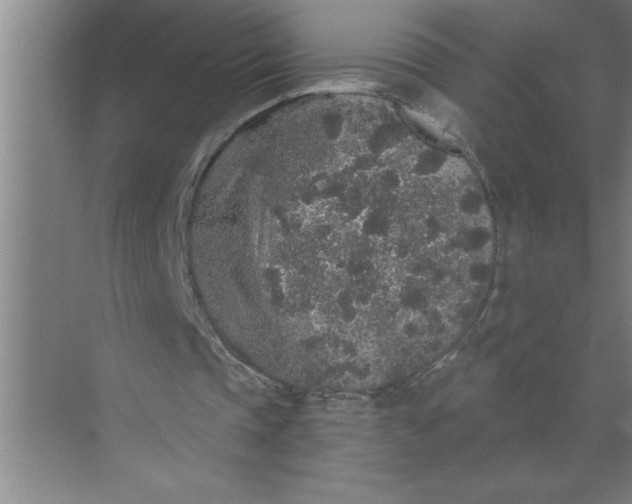 X0000072510337200607290138