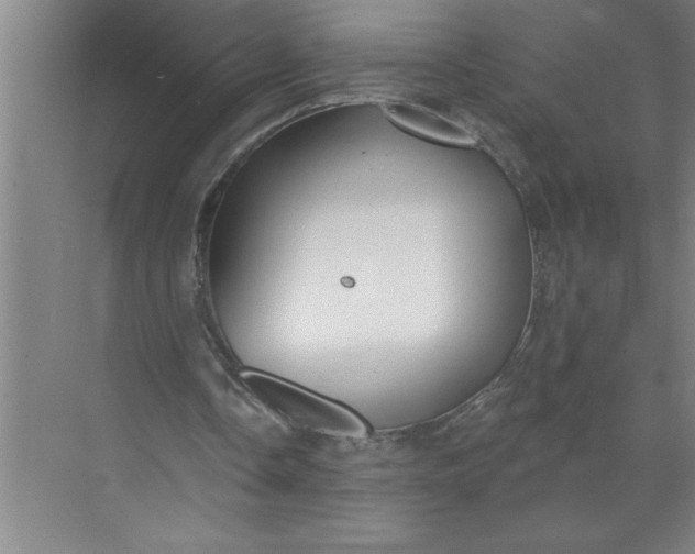 X0000072510338200607290138