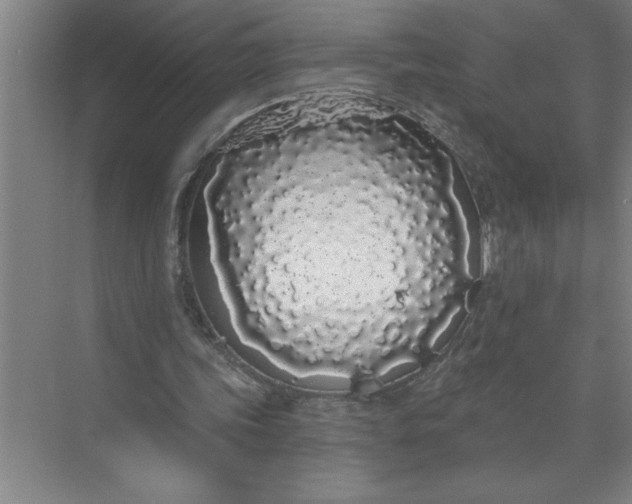 X0000072510339200607290138