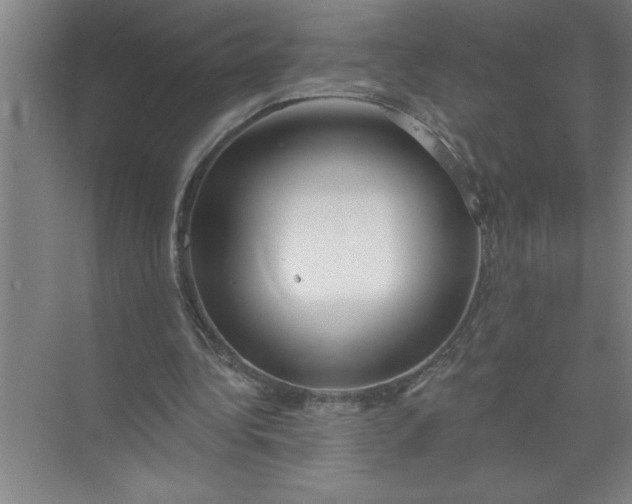 X0000072510340200607290138