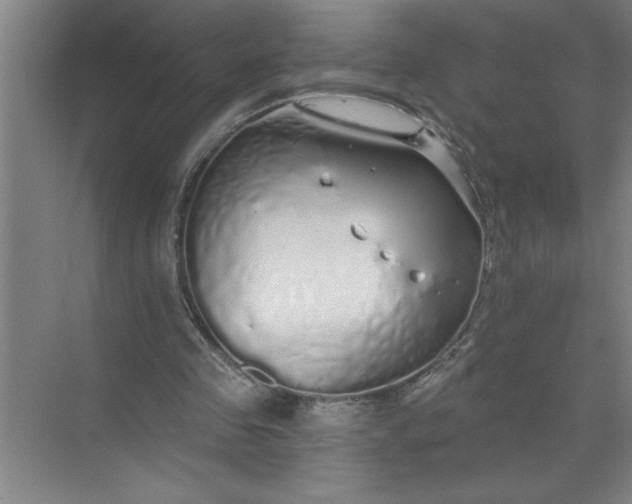 X0000072510341200607290138