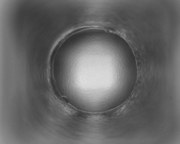 X0000072510342200607290138