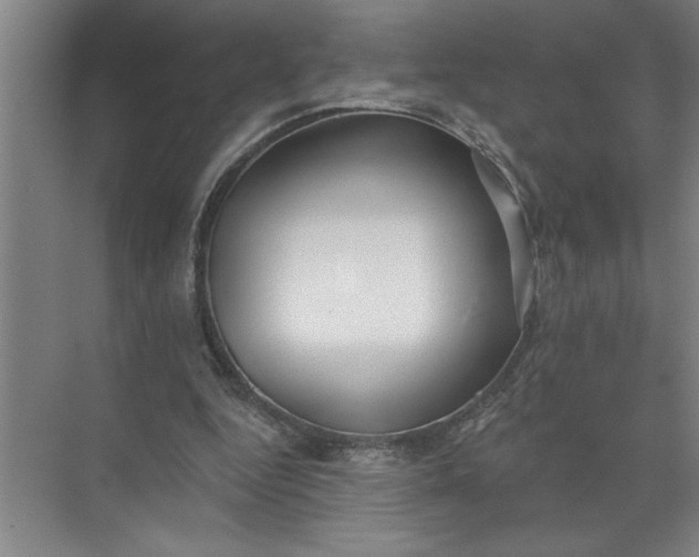 X0000072510344200607290138