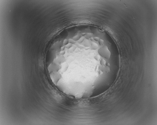 X0000072510345200607290138