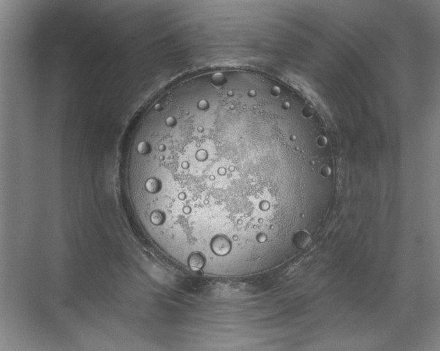 X0000072510346200607290138