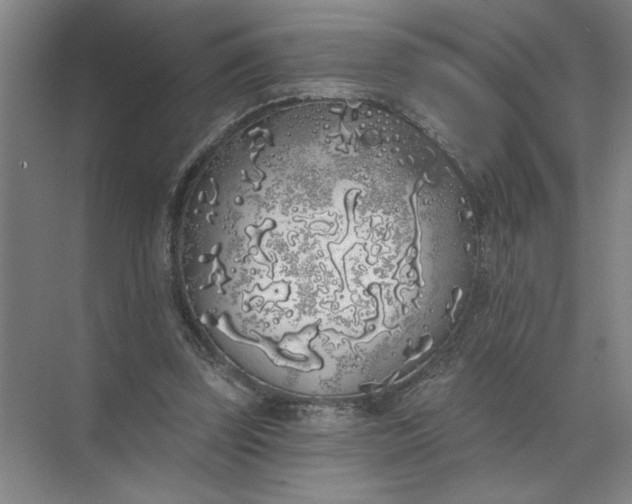 X0000072510347200607290138