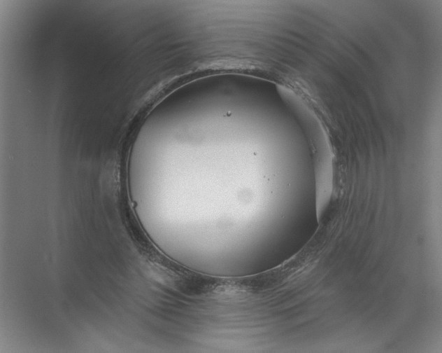 X0000072510348200607290138