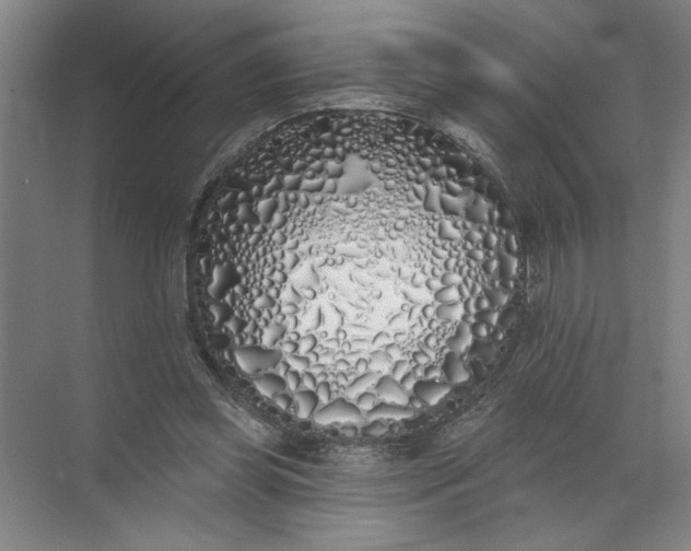 X0000072510349200607290138